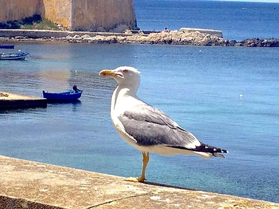 Apartment Lato Nord Il Giallo Vista E Accesso Mare Diretto Trapani